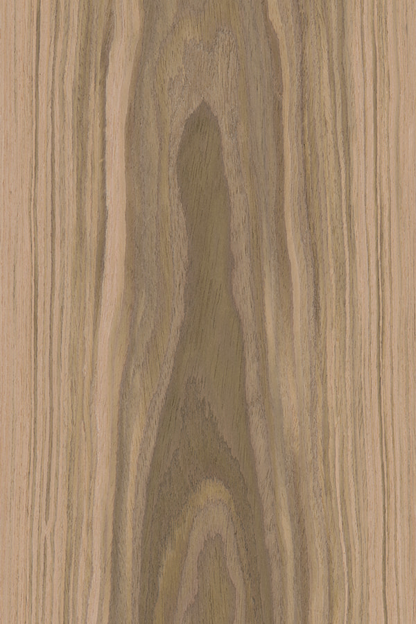 Teak Black Walnut Crown Cut engineered wood veneer WALNUT#668C