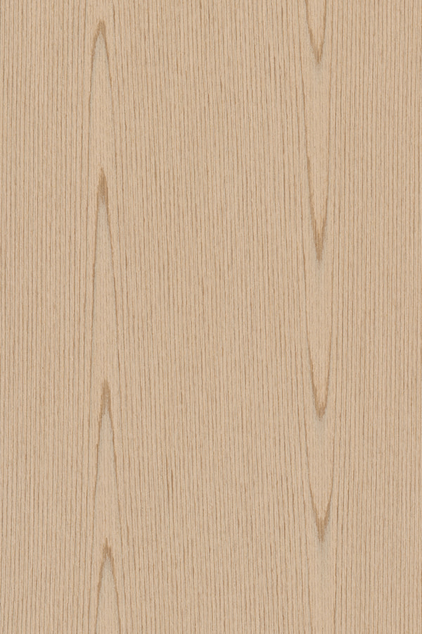 Silver Oak Crown Cut engineered wood veneer OAK#1796C